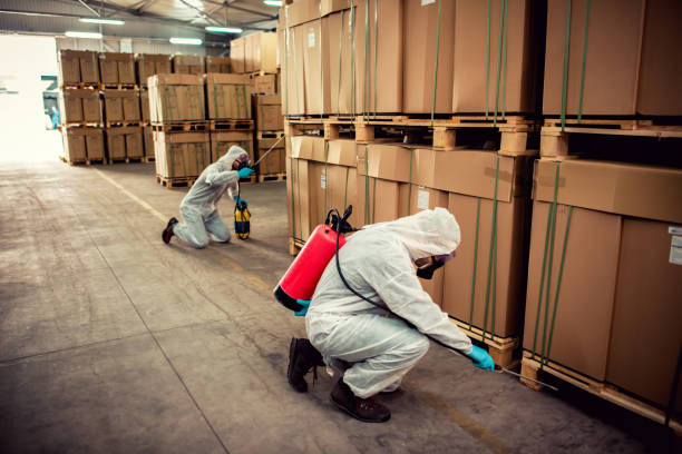 Reliable Egypt, PA Pest Control Solutions