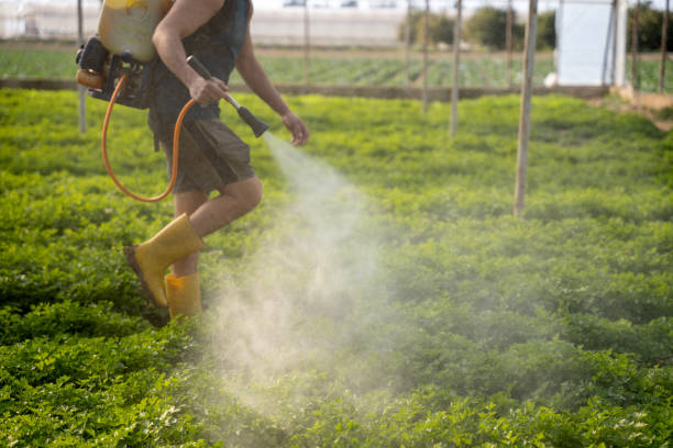 Pest Control Cost in Egypt, PA