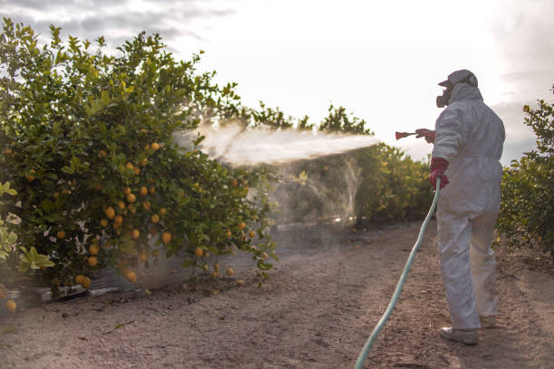 Best Mosquito Control Services  in Egypt, PA