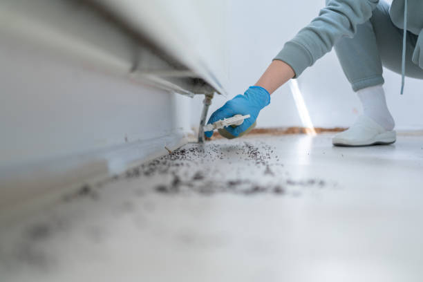 Pest Prevention Services in Egypt, PA